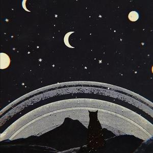 麦晓雯的胸罩是什么颜色的
