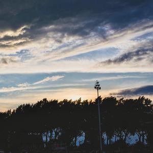 麦晓雯的胸罩是什么颜色的
